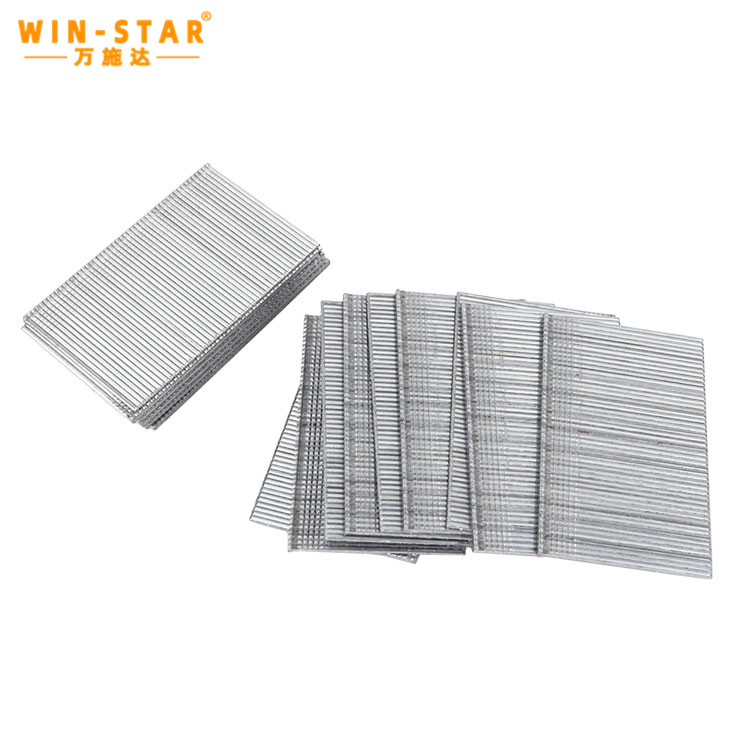 T50 staple nails 50mm length T50 staple nails 50mm length showing galvanized finish