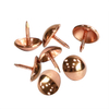 Redefine supellectilem elegantiam nostram exquisitam ferrum decorat clavis