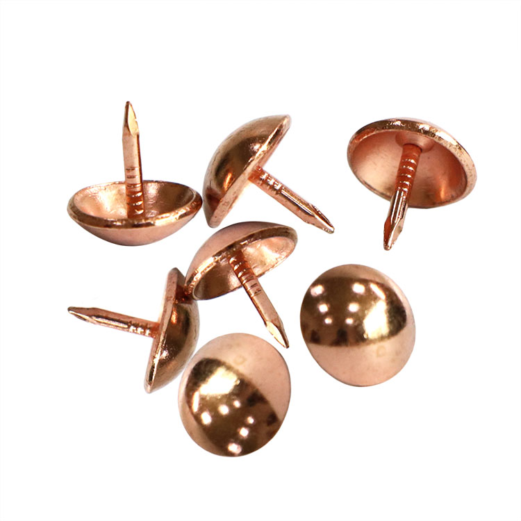 Furniture decorative nails (5) Supellectilem decorat unguibus (V)