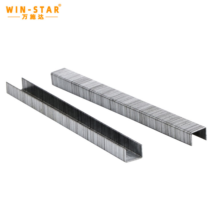 WINSTAR 13-8 Staple Pins Upholstery Wire Staple