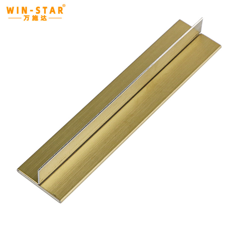 ZD-S001 T Strip (12)